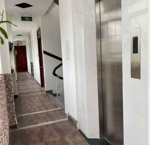 Camera Standard, Sunny A