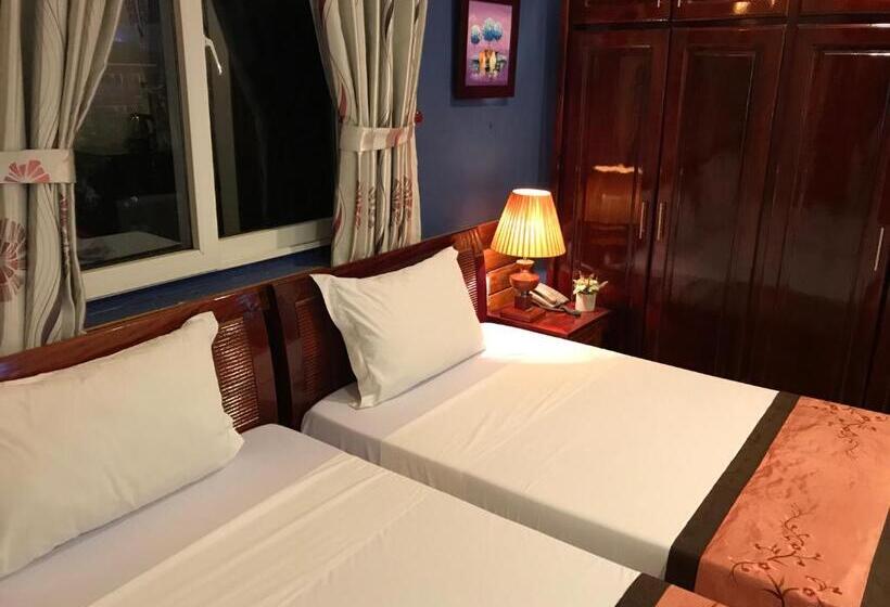 Camera Standard, Sunny A