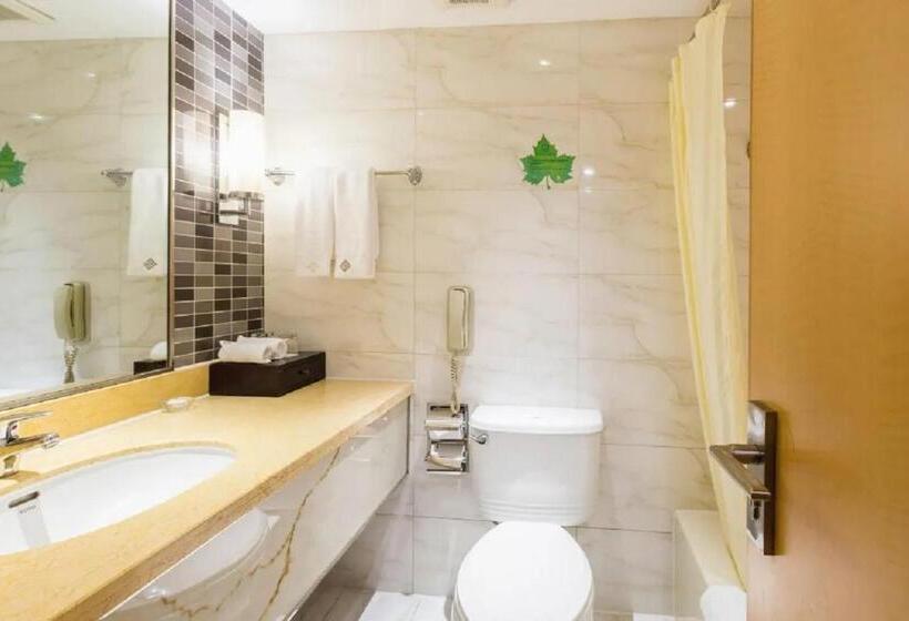 غرفة قياسية مطلة على المدينة, Shu Guang International