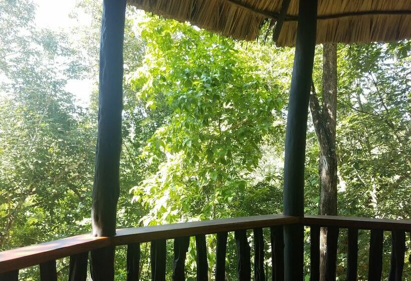 豪华小屋, Table Rock Jungle Lodge