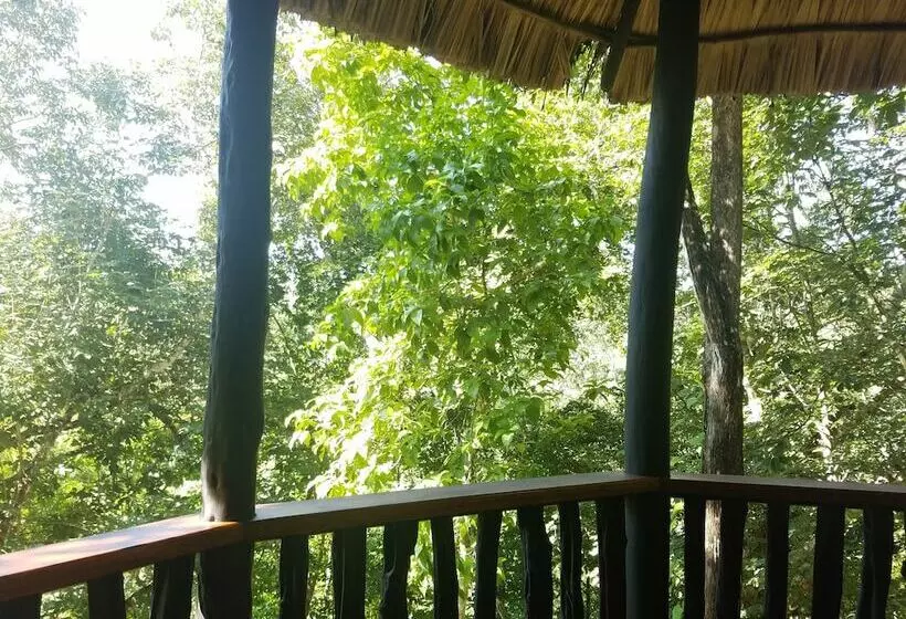 Deluxe-mökki, Table Rock Jungle Lodge