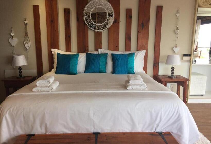 带大床的豪华间, White Shark Guest House