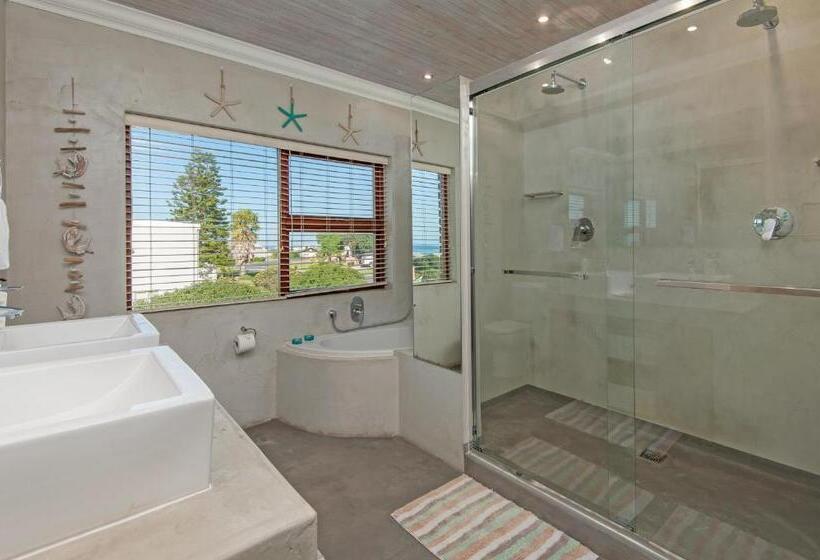 带大床的豪华间, White Shark Guest House