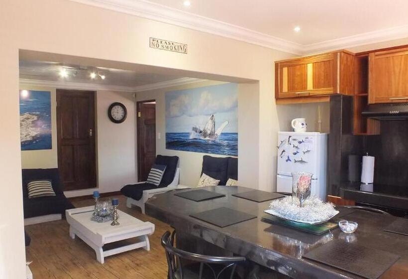 2间卧室的房子, White Shark Guest House