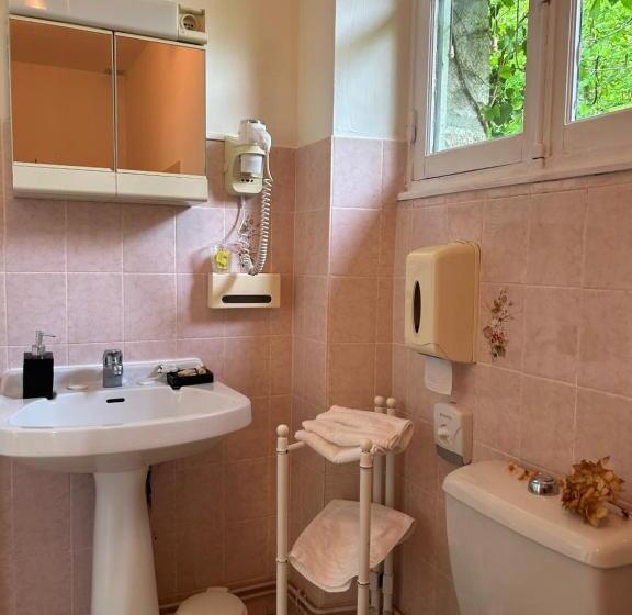 스탠다드 룸 호수 전망, Le Chambon, Chambres D Hôtes