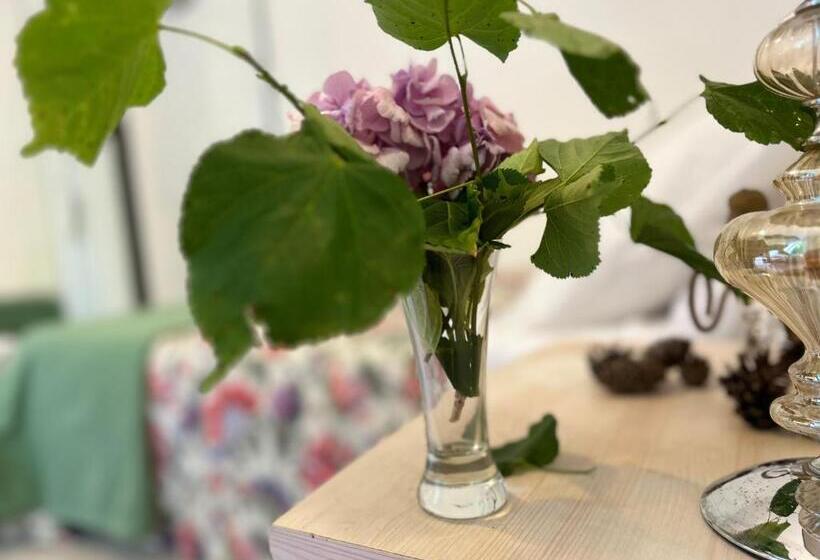 스탠다드 룸 산 전망, Le Chambon, Chambres D Hôtes