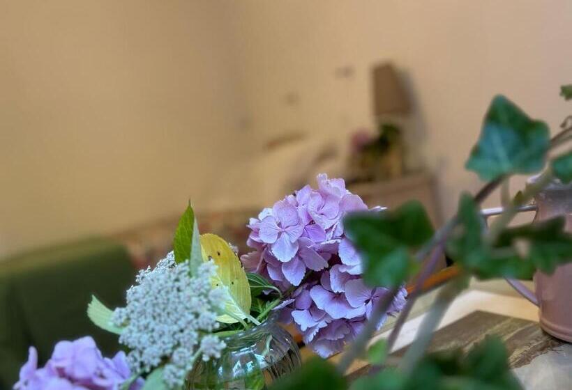 스탠다드 룸 산 전망, Le Chambon, Chambres D Hôtes