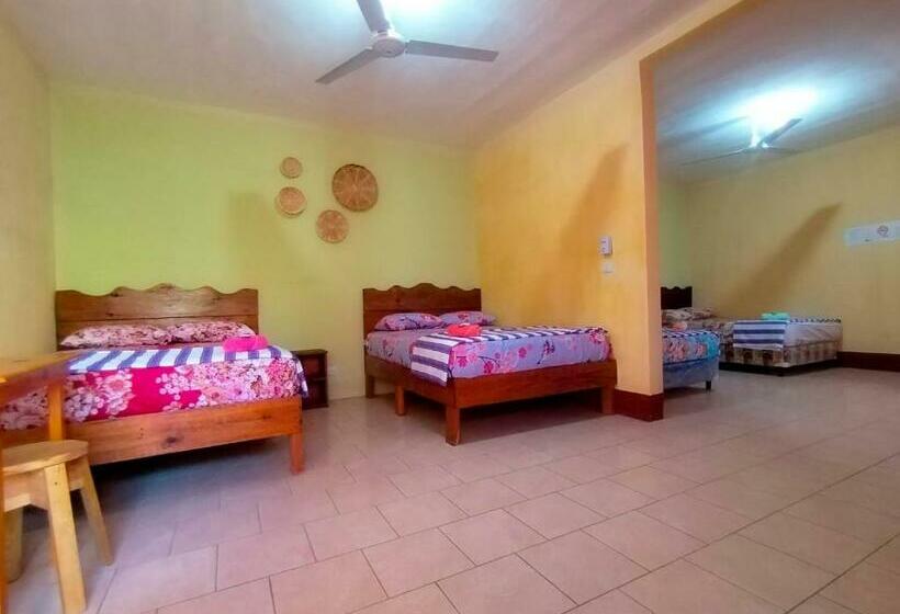 اتاق استاندارد چهار تخته, Israel