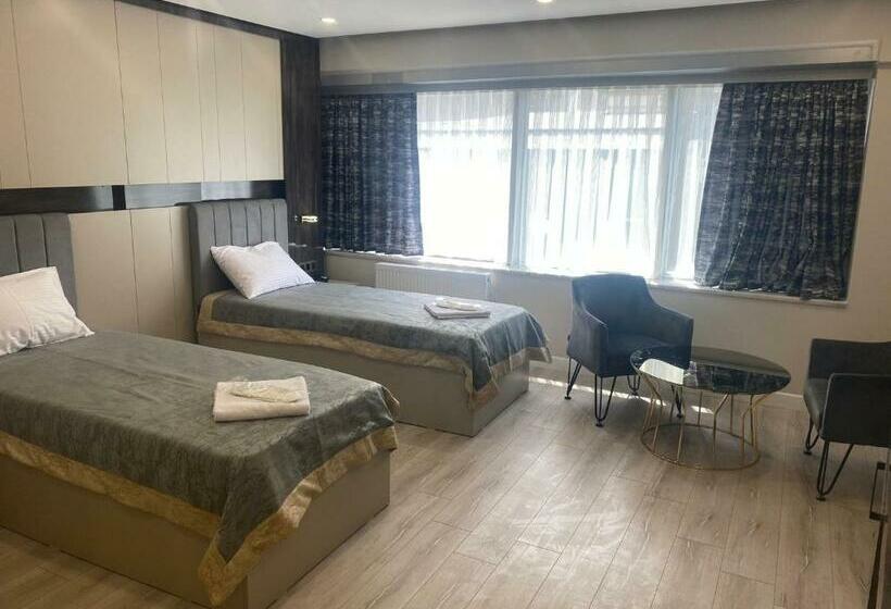 اتاق استاندارد, Meros