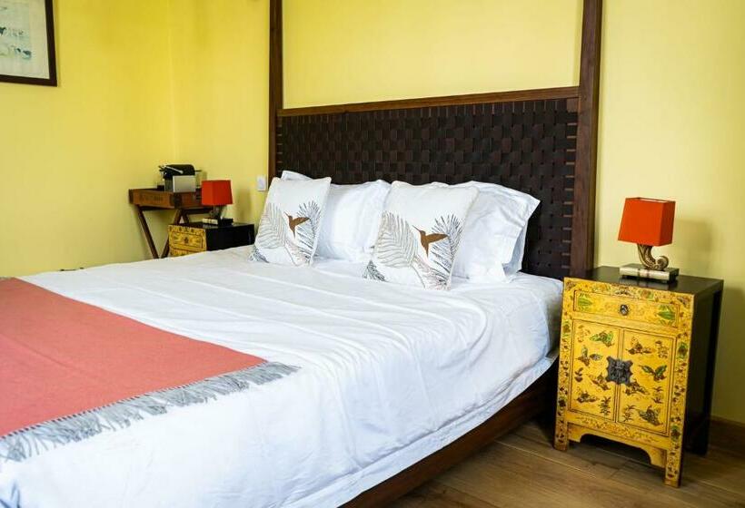 Номер Стандарт, 23