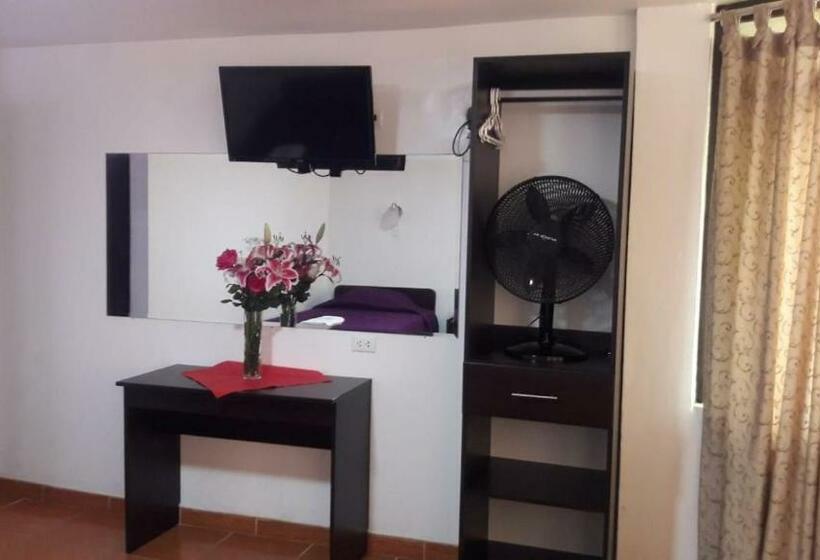 غرفة قياسية, Fiorella Paracas