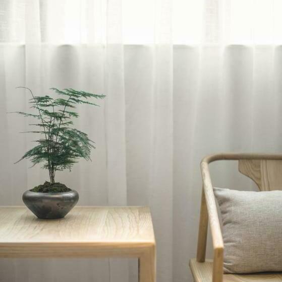 Номер Стандарт, Guangzhou Shug Art