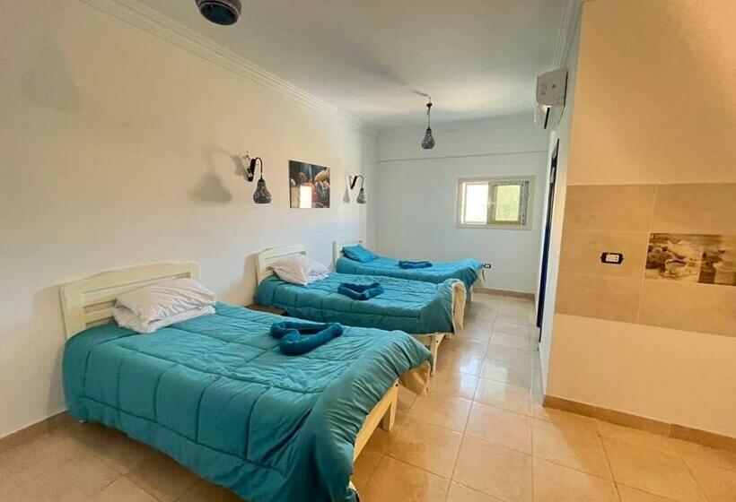 اتاق استاندارد سه نفره, Dolphina Hotel & Restaurant