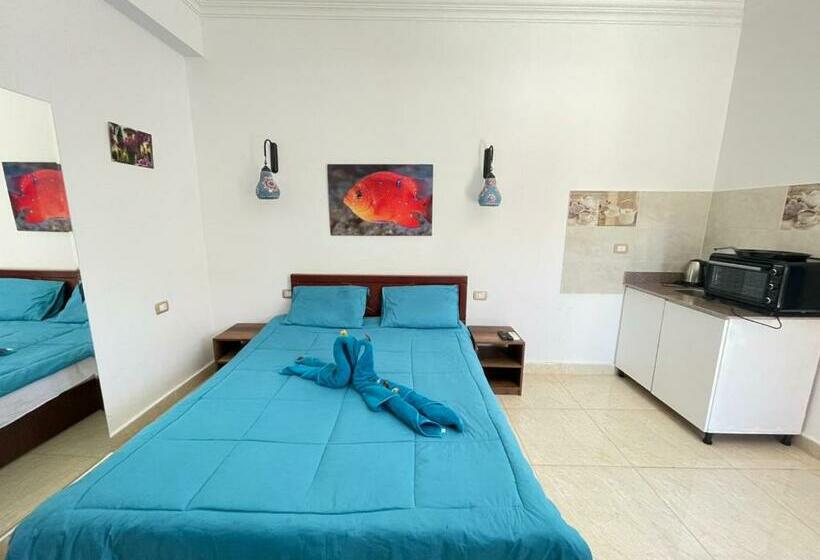 اتاق استاندارد یک نفره, Dolphina Hotel & Restaurant