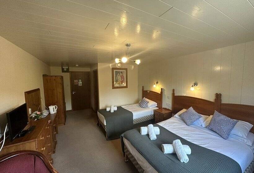 Номер Стандарт Трехместный, Oyo Mackay S Travel Lodge