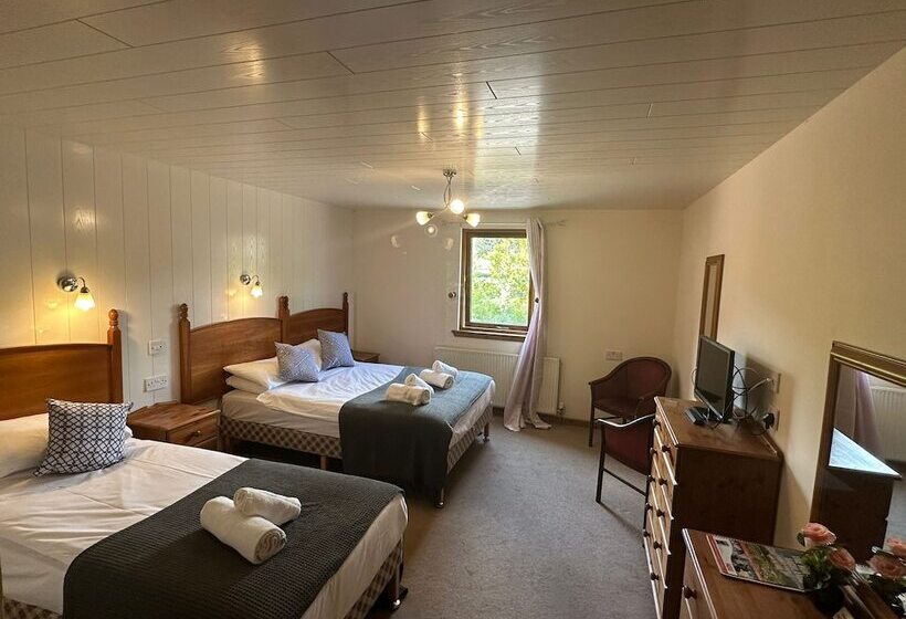 Номер Стандарт Трехместный, Oyo Mackay S Travel Lodge