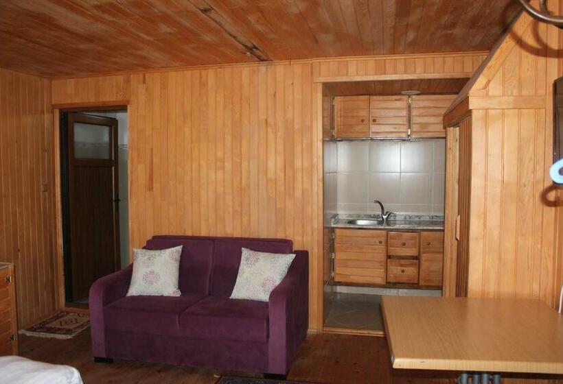 패밀리 룸 산 전망, Sultanmurat Aymeydanı