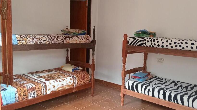 Номер Стандарт, Hostel Verbenita