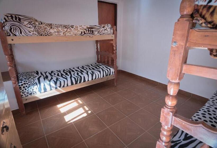 Номер Стандарт, Hostel Verbenita