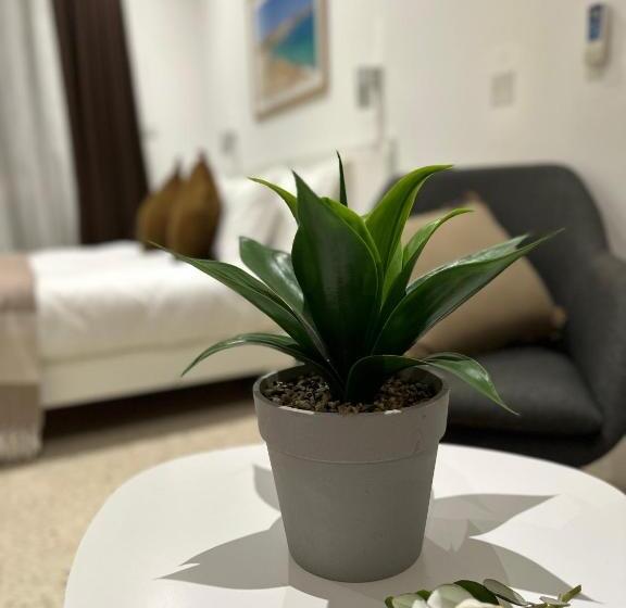 اتاق استاندارد با چشمانداز دریا, The Beach House