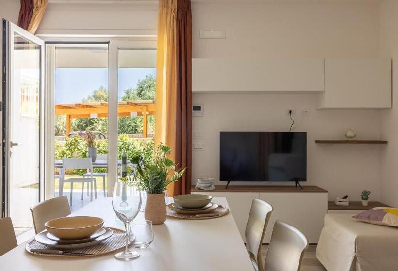 اتاق لوکس, Color Dream Residence