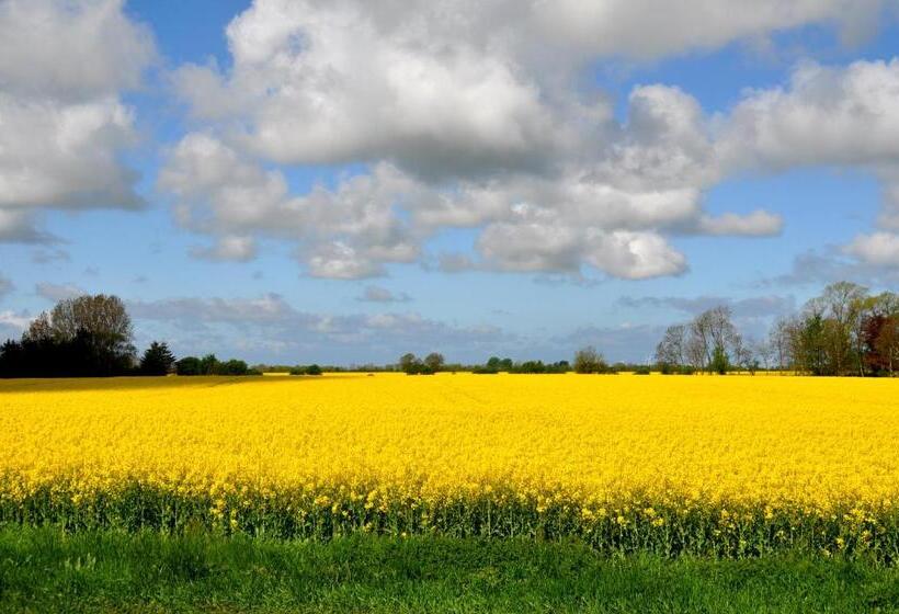 스탠다드 룸, Aparthotel Museumshof