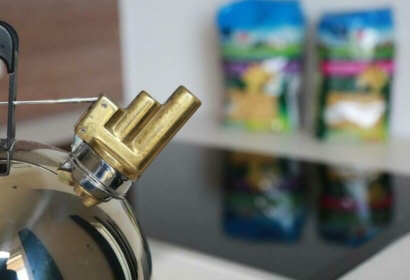 침실 1개 테라스 아파트, Best Motel