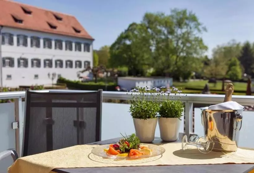 公園の見えるスーペリアルーム, Boutiquehotel Zur Winzerstube Adults Only