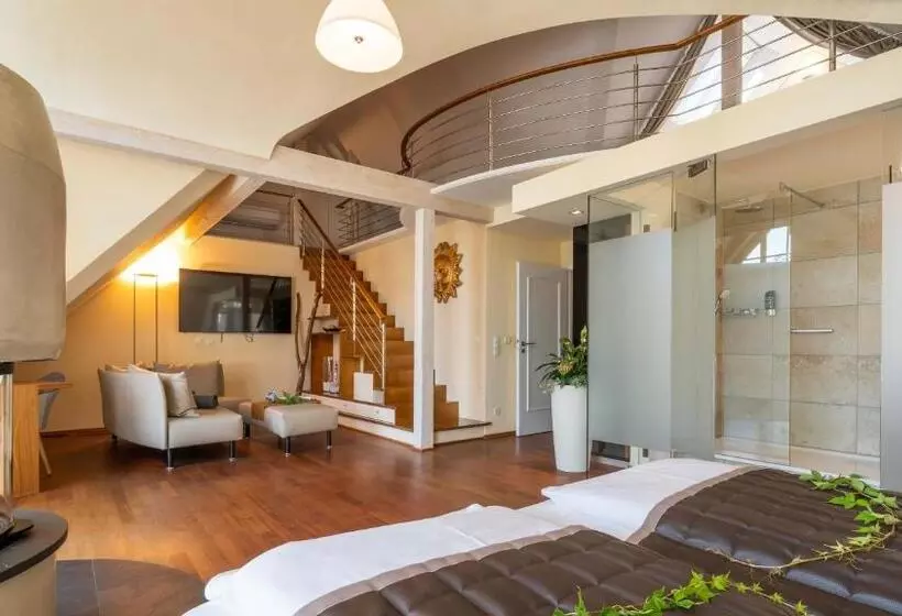 ガーデンビューのスタンダードワンルーム, Boutiquehotel Zur Winzerstube Adults Only