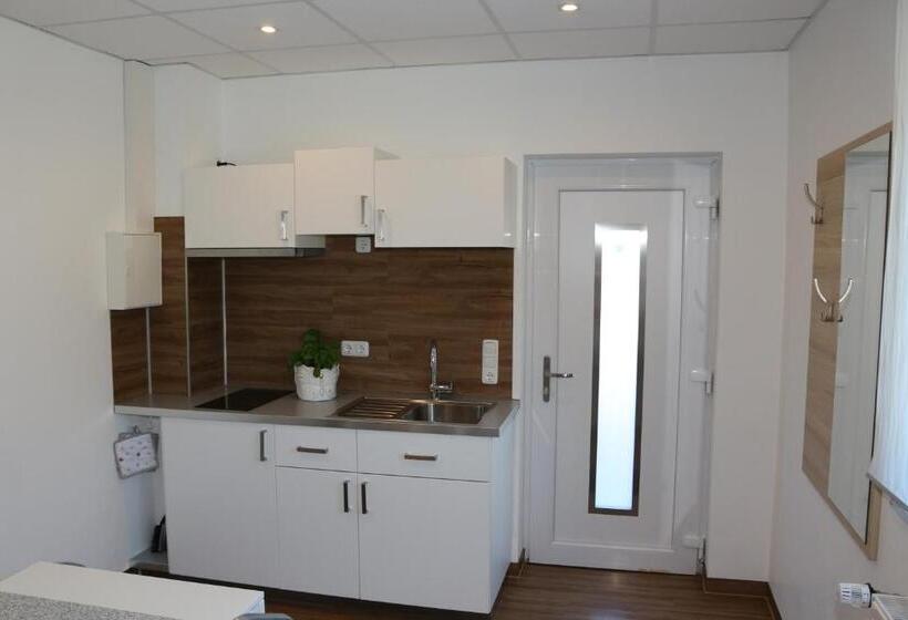 إستوديو قياسى, Baldus