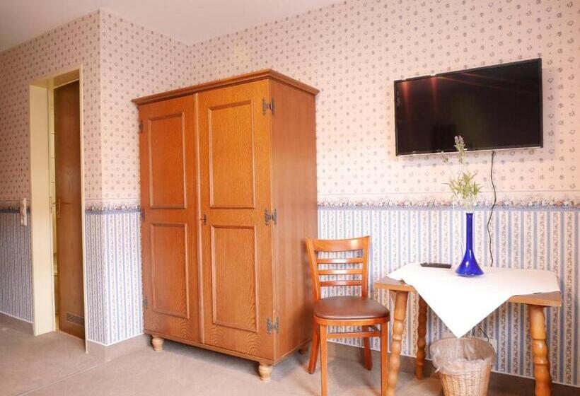 חדר סטנדרט יחיד, Gasthaus Engel