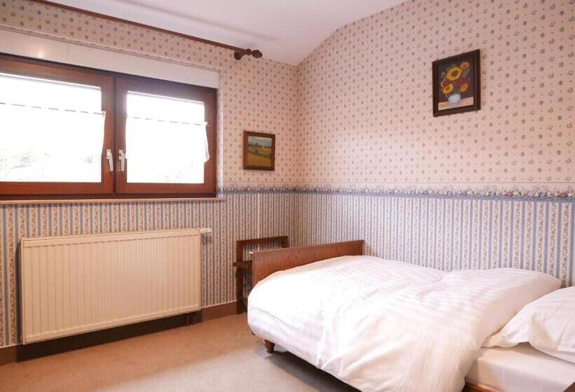 חדר סטנדרט יחיד, Gasthaus Engel