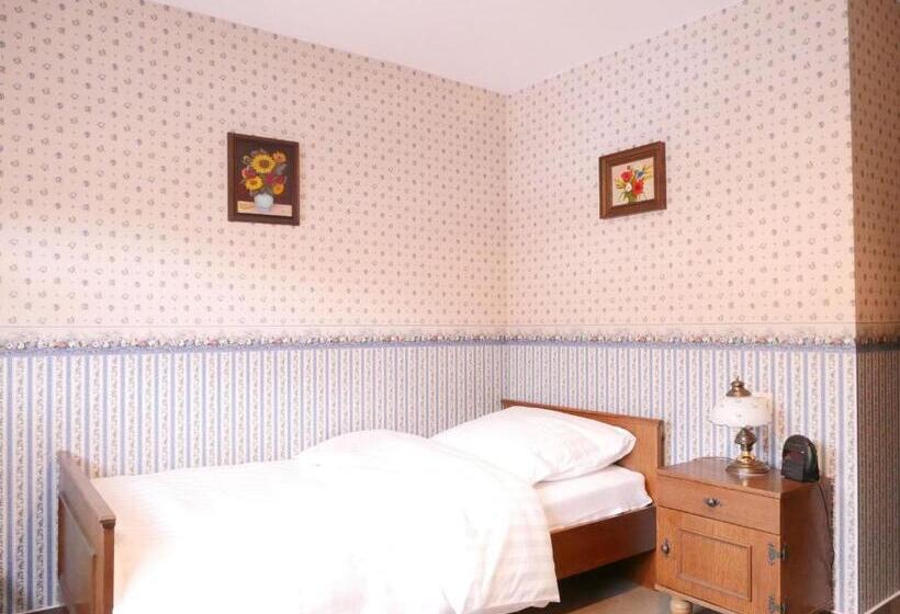 חדר סטנדרט יחיד, Gasthaus Engel