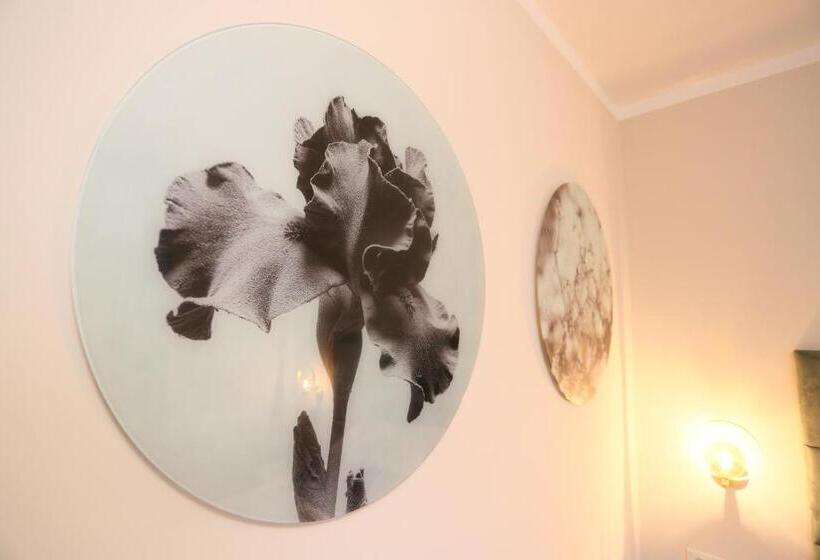 수피리어 룸, Lutz