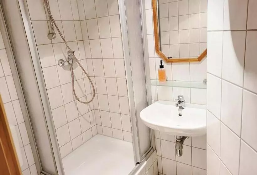 エコノミーシングルルーム, Pension Landhaus Teichgraf