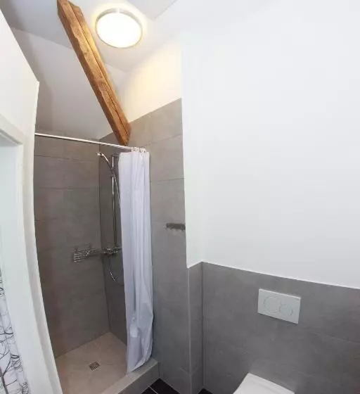 ベーシックワンルーム, Pension Weinsberger Tal