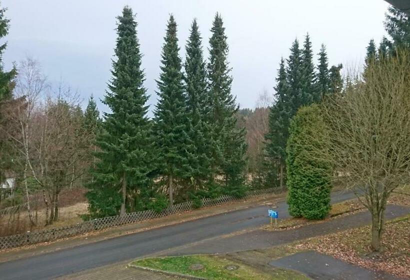 חדר סטנדרט עם מרפסת, Quellenhof Altenau