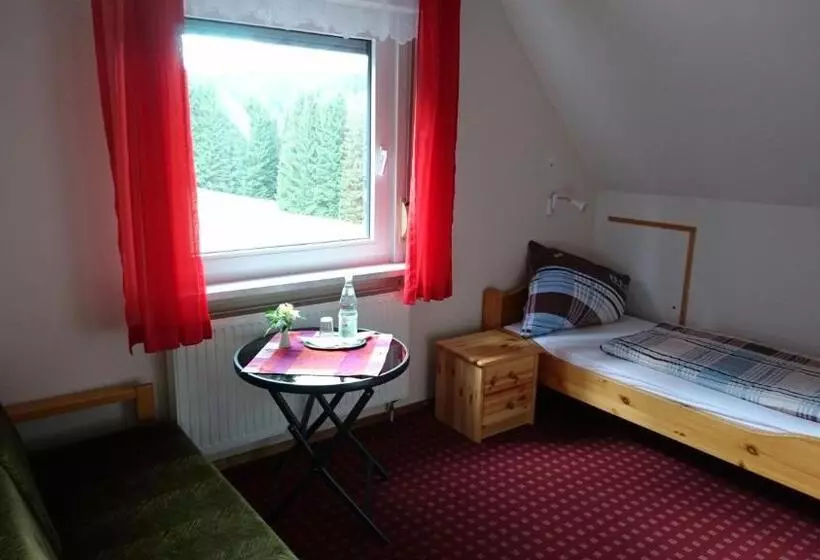 Standard Yhden Hengen Huone, Quellenhof Altenau