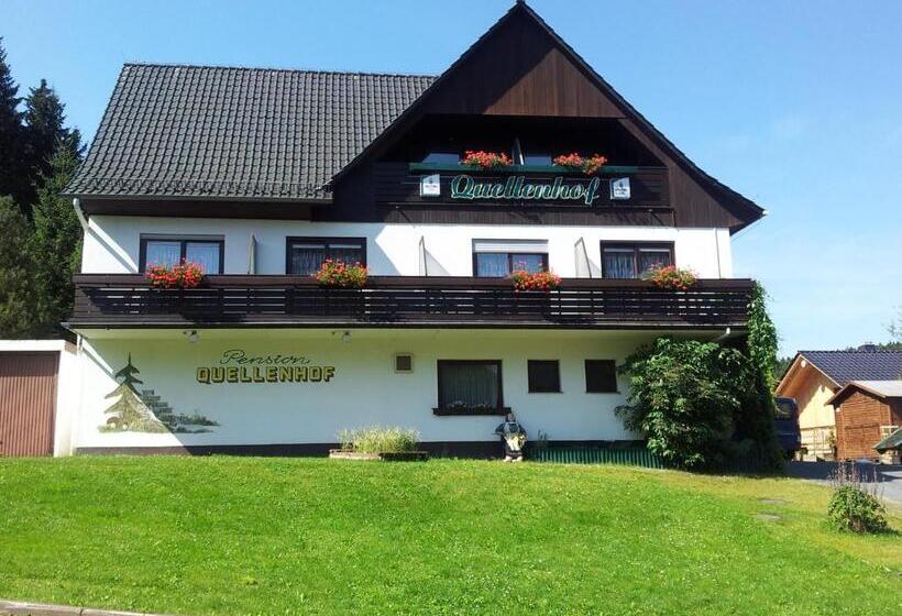 חדר סטנדרט יחיד, Quellenhof Altenau