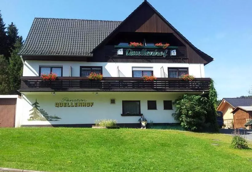 Standard Yhden Hengen Huone, Quellenhof Altenau