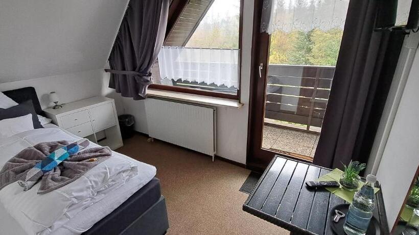 חדר סטנדרט יחיד עם מרפסת, Quellenhof Altenau