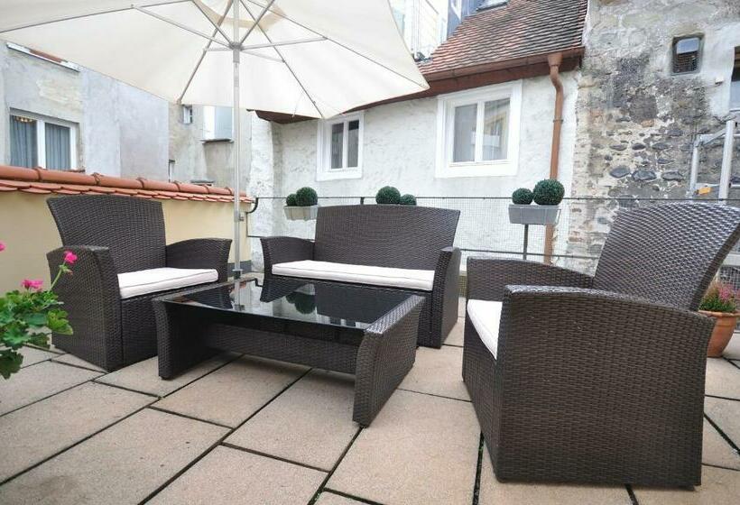 Полулюкс Одноместный с Террасой, Spiegel Garni