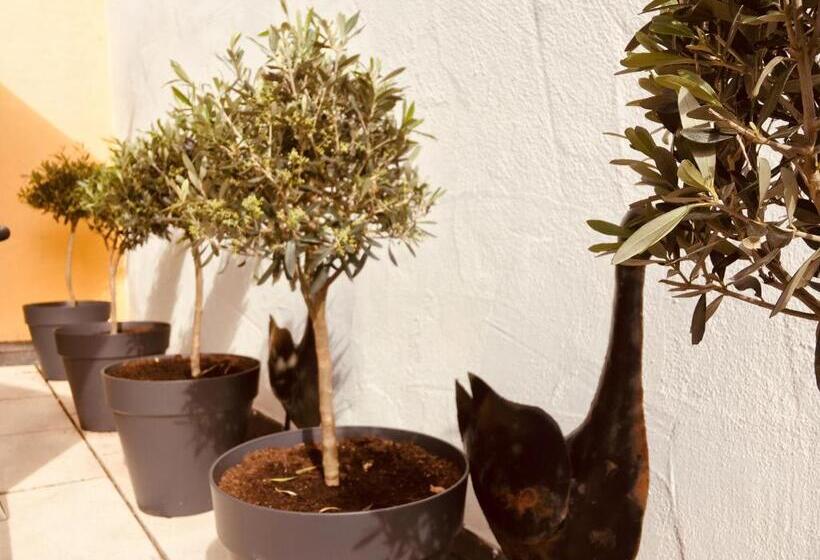 Полулюкс Повышенной Комфортности, Spiegel Garni