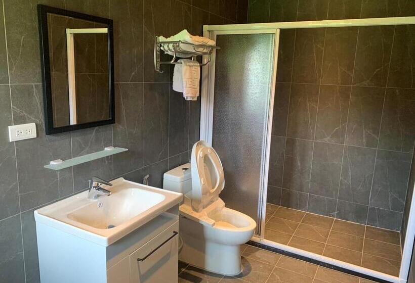 اتاق اکونومی, Leju Diary B&b