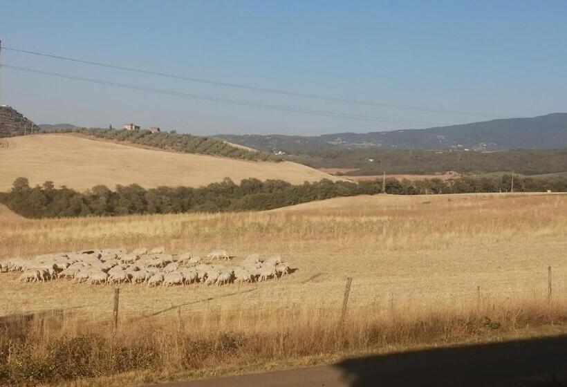 标准间, Podere Stabbiatelli