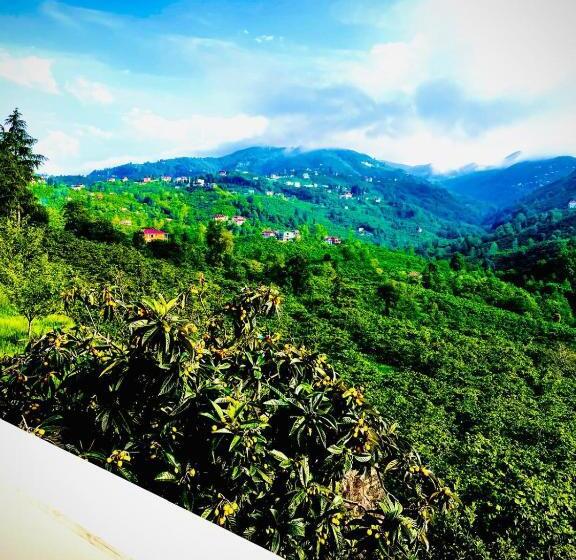 景色の見える一ベッドルームアパートメント, Five Star