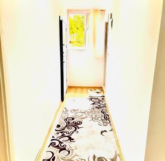 شقة دور أخير غرفة نوم واحدة, Five Star