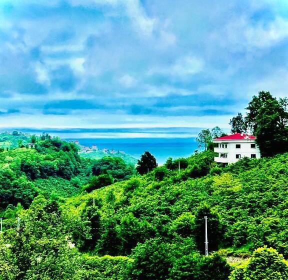 شقة دور أخير غرفة نوم واحدة, Five Star