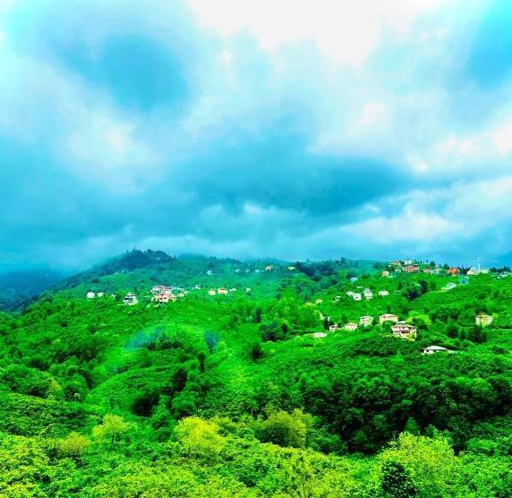 شقة دور أخير غرفة نوم واحدة, Five Star