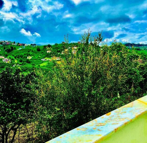 شقة غرفة واحدة ذات إطلالة, Five Star